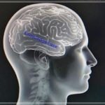 Knowledge base; accessible travel; accessible travel planning